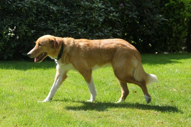 Bild 3: Nina - hübsche Griechin auf der Suche