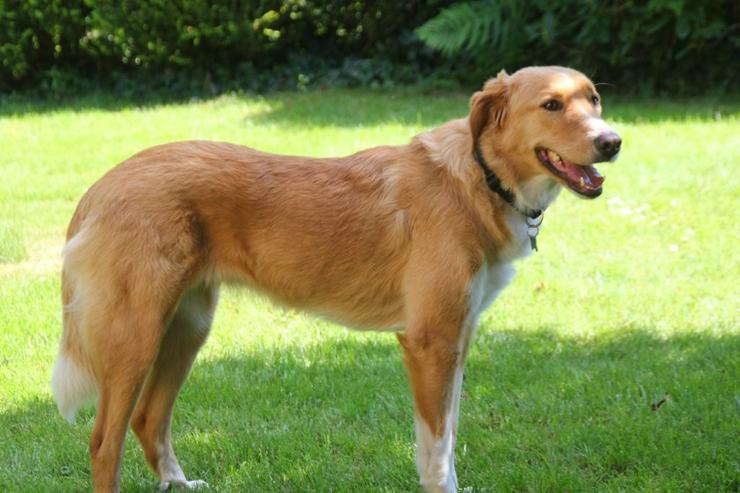 Bild 6: Nina - hübsche Griechin auf der Suche
