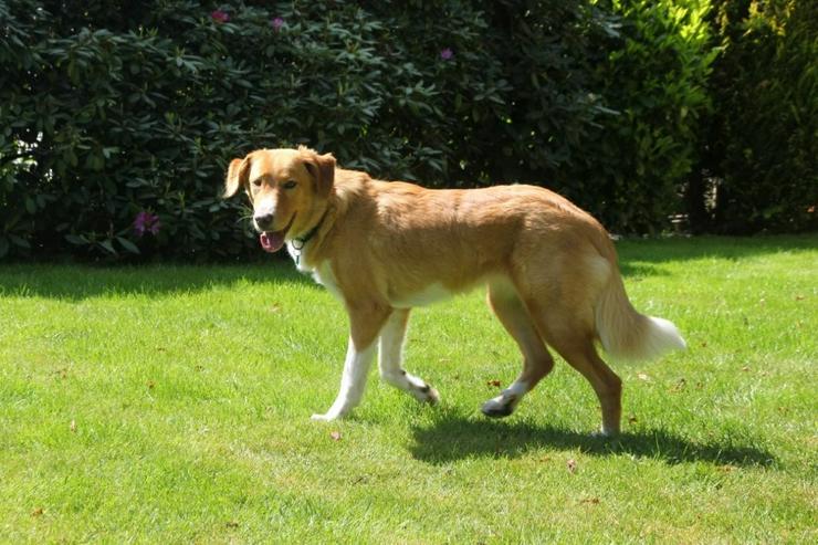 Bild 2: Nina - hübsche Griechin auf der Suche