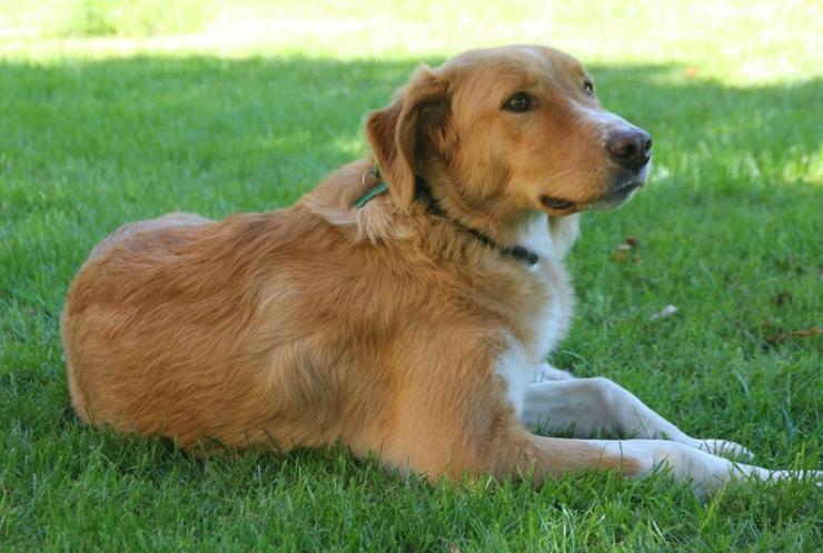 Bild 11: Nina - hübsche Griechin auf der Suche