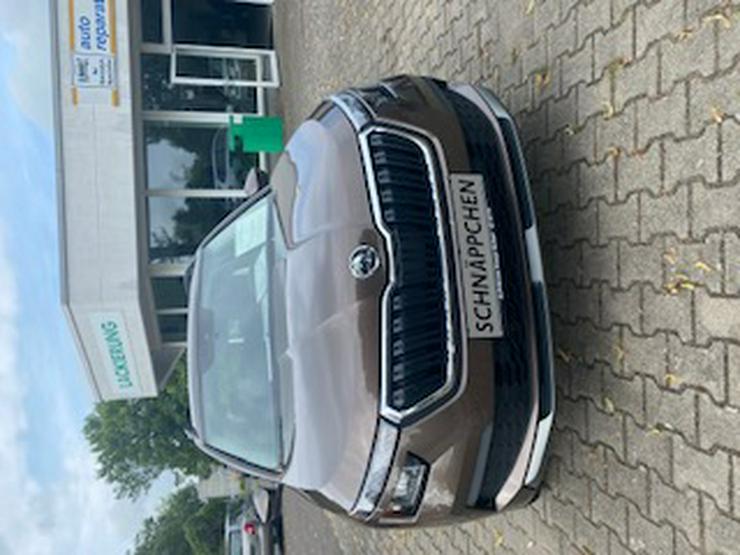 Bild 5: Kamiq 1,0 TSI