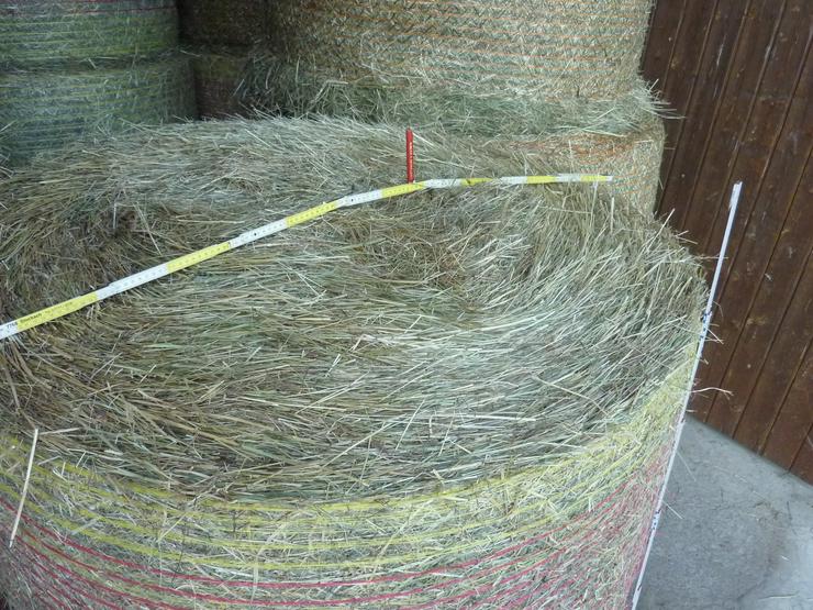 Bild 2: Heu, Heuballen, Öhmd, Rundballen, Siloballen, Pferde, Vieh,Rinder