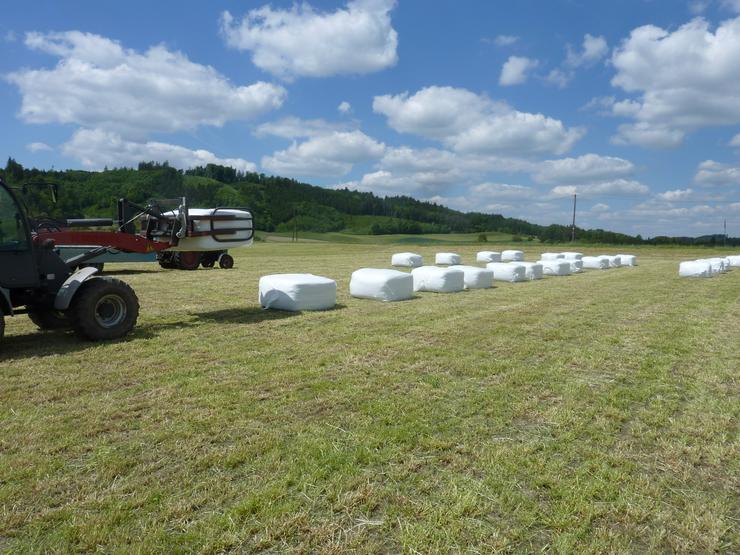 Bild 4: Heu, Heuballen, Öhmd, Rundballen, Siloballen, Pferde, Vieh,Rinder