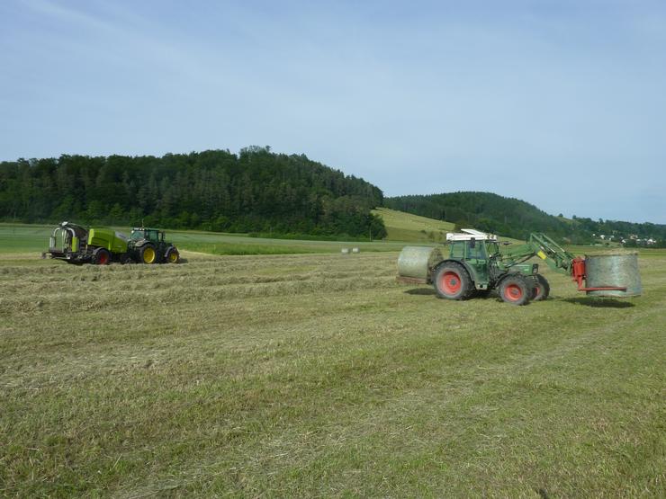 Bild 3: Heu, Heuballen, Pferde, Rinder, Kühe, Vieh, Ernte 2025
