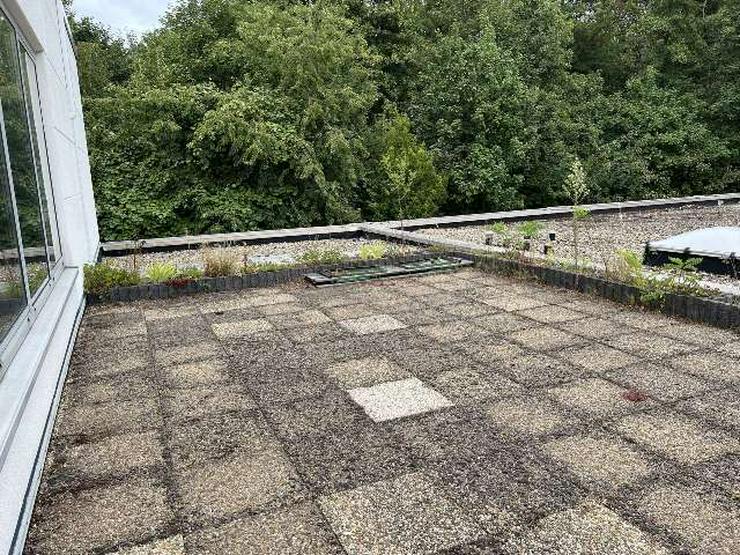 Bild 5: Provisionsfrei: 254 qm Teilklimatisiertes Großraumbüro mit Terrasse und vielen Stellplätzen!