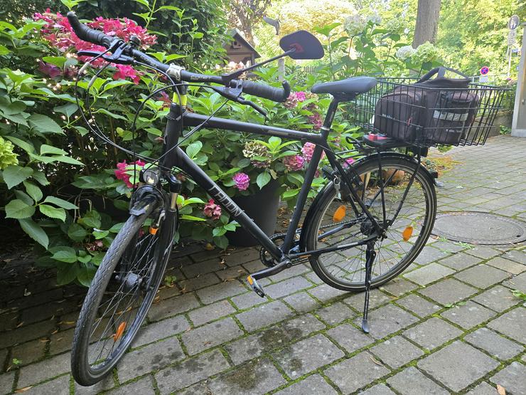 Radon Trekkingrad 64cm mit Rohloff Speedhub 500/14 14-Gang Nabenschaltung