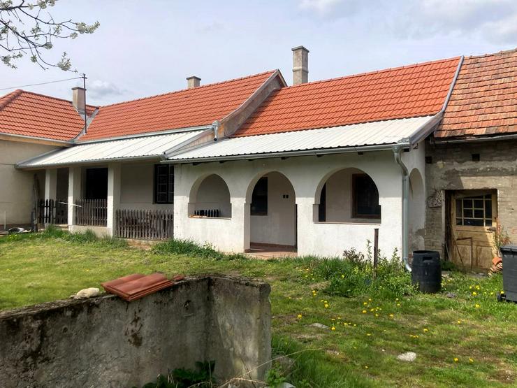 Bild 8:  3969m² mit Haus+Hof im Örseg Nationalpark/Ungarn nahe Österreich, Slowenien, Kroatien