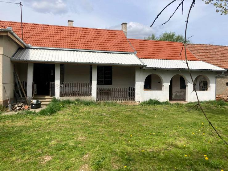 Bild 10:  3969m² mit Haus+Hof im Örseg Nationalpark/Ungarn nahe Österreich, Slowenien, Kroatien