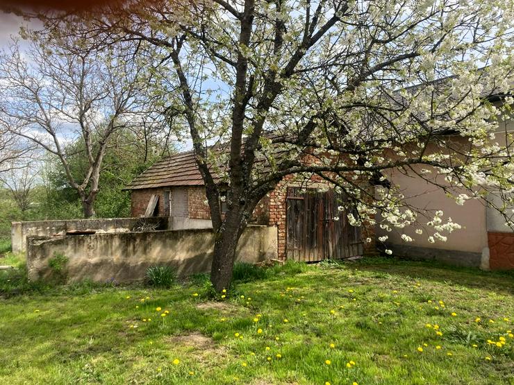 Bild 6:  3969m² mit Haus+Hof im Örseg Nationalpark/Ungarn nahe Österreich, Slowenien, Kroatien
