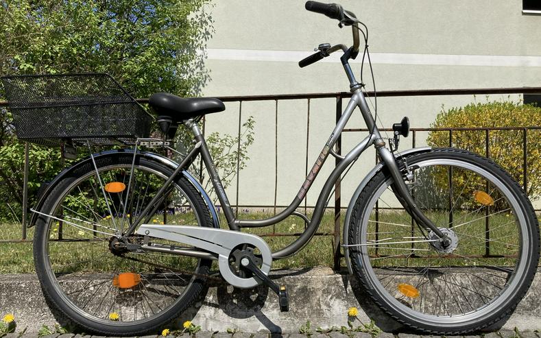 Stadtfahrrad Bavaria Line Lizzard für Damen, 26 Zoll, Nabenschaltung, Nabendynamo, Korb, Beleuchtung