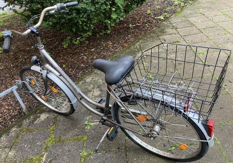 Bild 4: Stadtfahrrad Bavaria Line Lizzard für Damen, Nabenschaltung, Beleuchtung, Korb