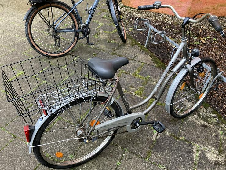 Stadtfahrrad Bavaria Line Lizzard für Damen, Nabenschaltung, Beleuchtung, Korb