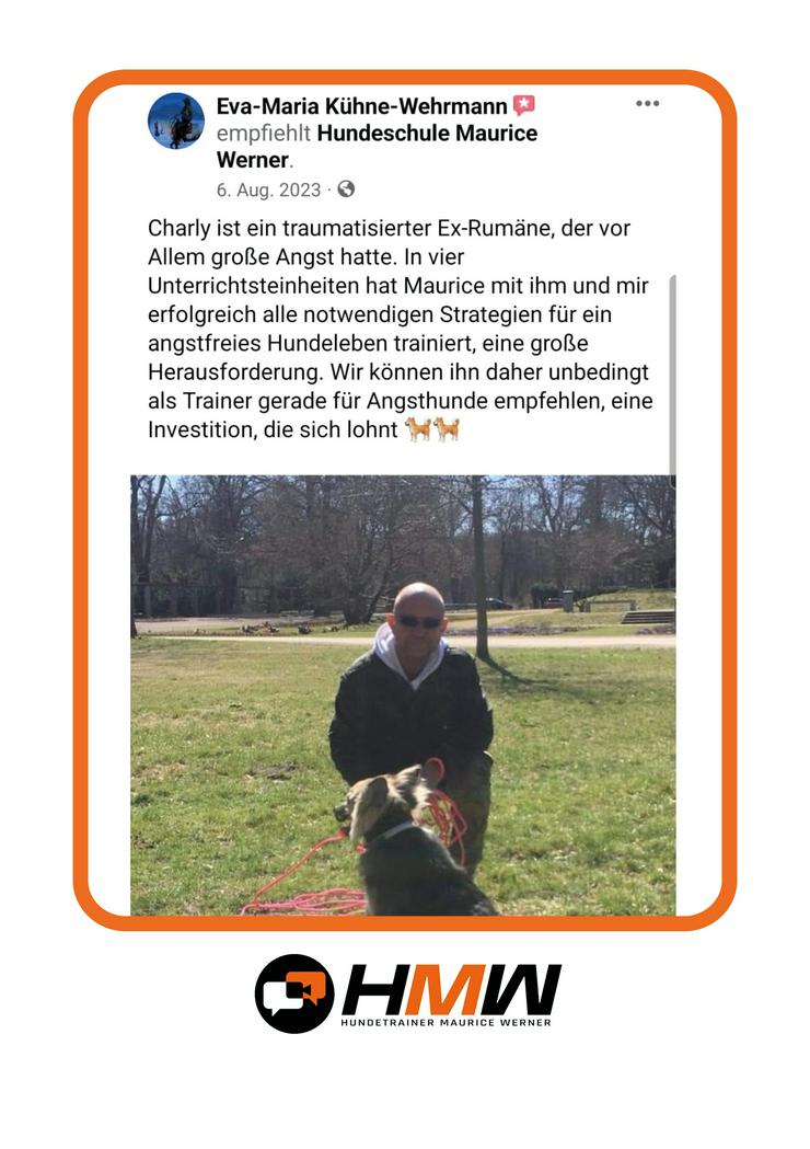 Bild 3: Innovatives Hundetraining durch Videoanalyse