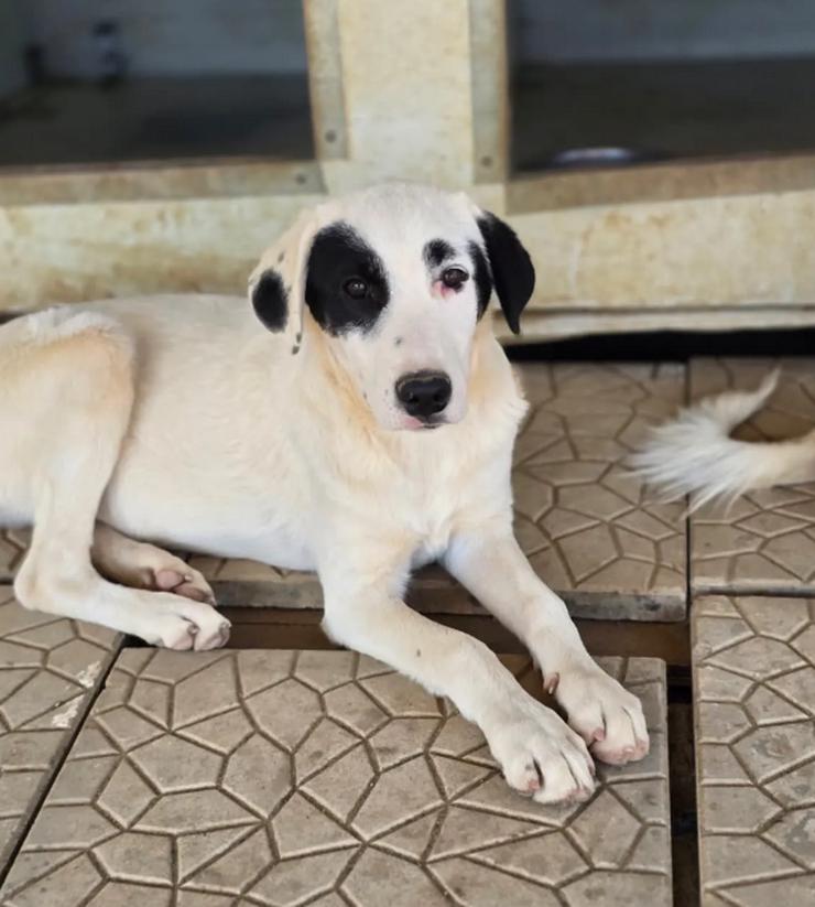 Bild 6: Beverly – neugierig, stark und bereit fürs Abenteuer Leben