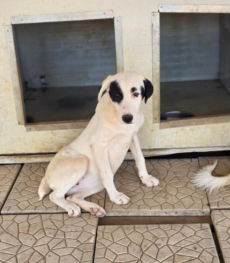 Bild 3: Beverly – neugierig, stark und bereit fürs Abenteuer Leben