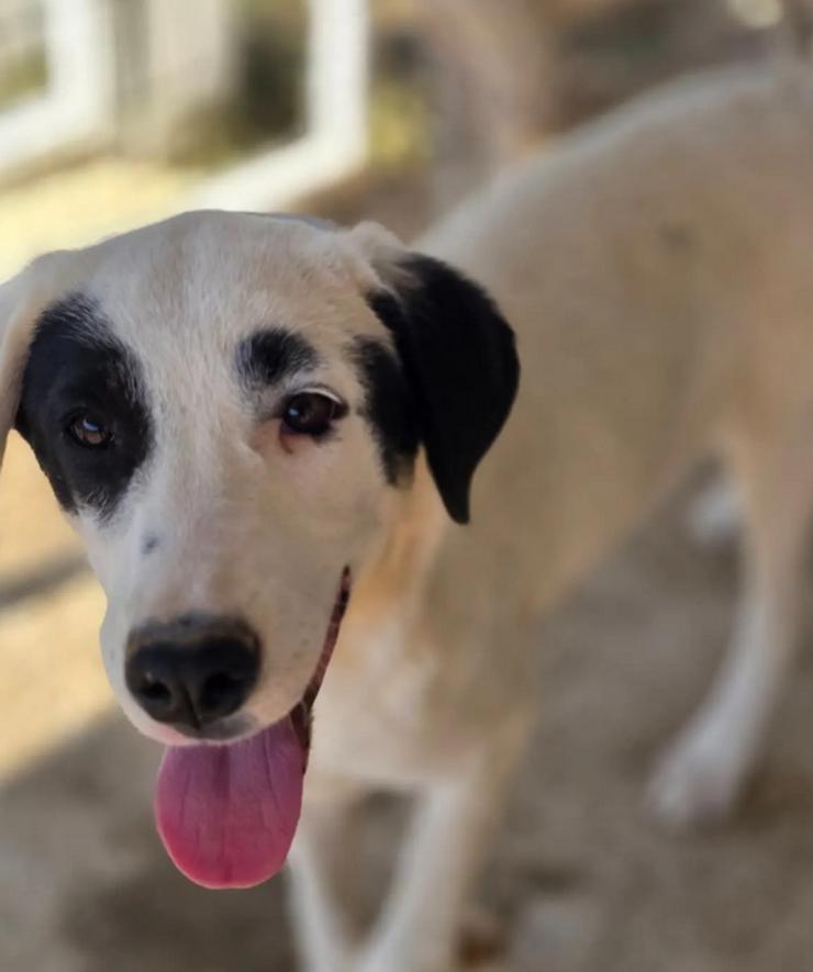 Beverly – neugierig, stark und bereit fürs Abenteuer Leben