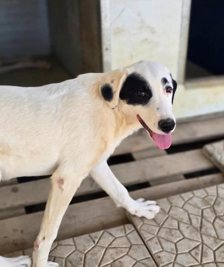 Bild 2: Beverly – neugierig, stark und bereit fürs Abenteuer Leben