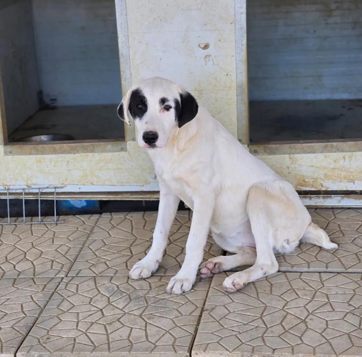 Bild 5: Beverly – neugierig, stark und bereit fürs Abenteuer Leben