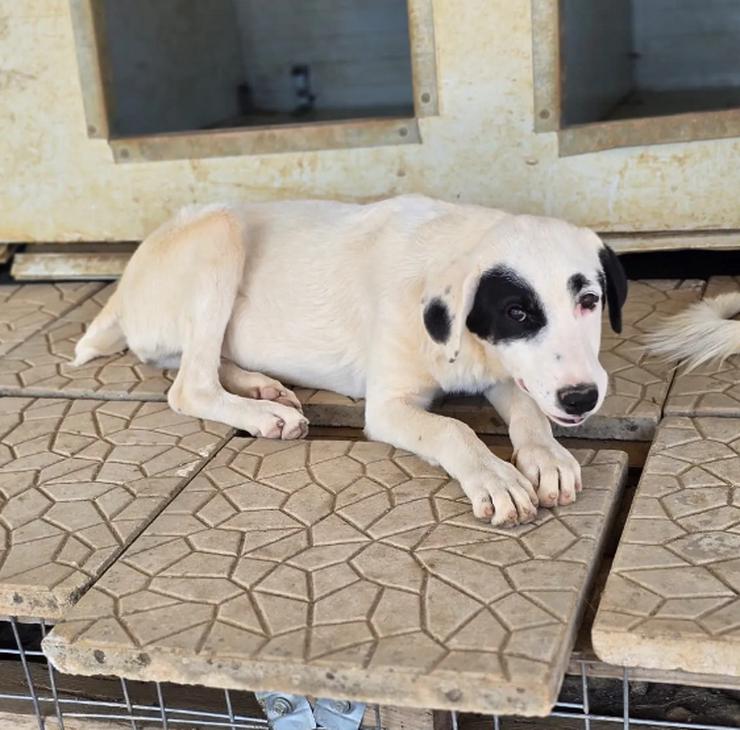 Bild 4: Beverly – neugierig, stark und bereit fürs Abenteuer Leben