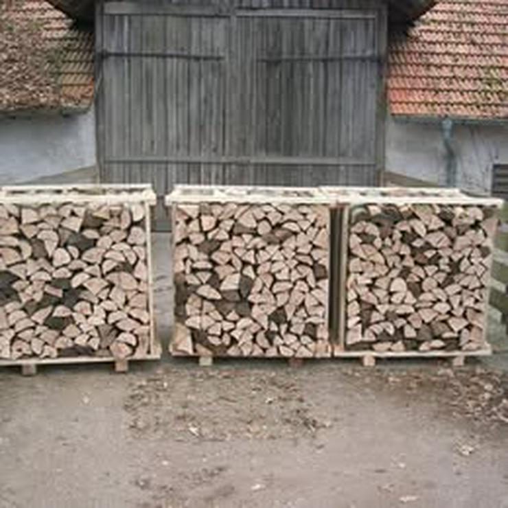 🌲 Fichte – 🌳 Esche – 🍂 Buche    🍂 Buche: 175 €   🌳 Esche: 130 €   🌲 Fichte: 85 €