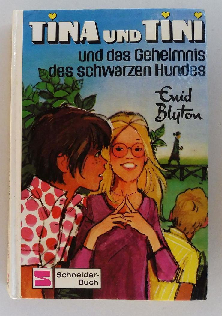 Bild 6: 5 Kinderbücher Tina und Tini, Hanni und Nanni und Dolly 5