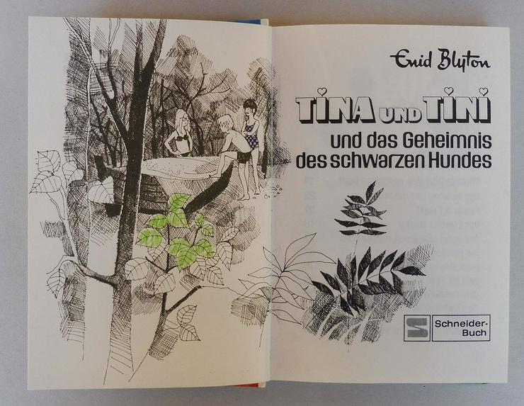 Bild 8: 5 Kinderbücher Tina und Tini, Hanni und Nanni und Dolly 5
