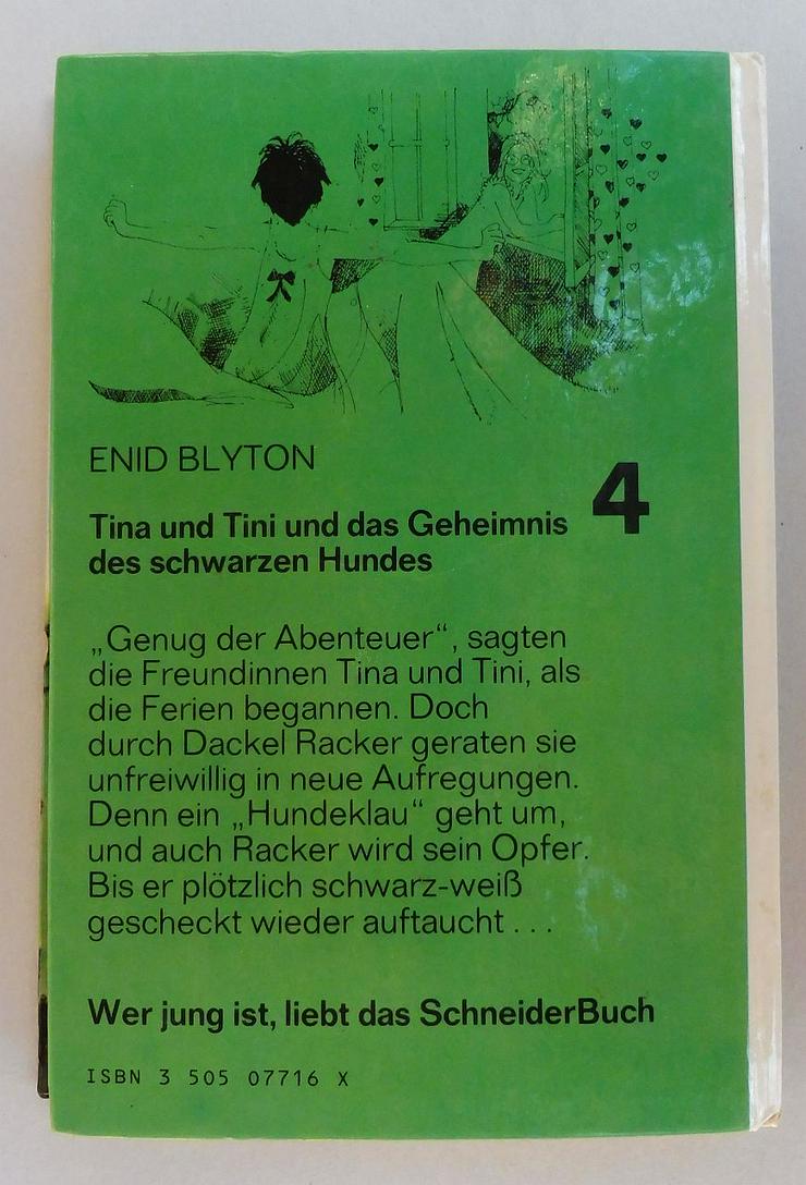 Bild 7: 5 Kinderbücher Tina und Tini, Hanni und Nanni und Dolly 5