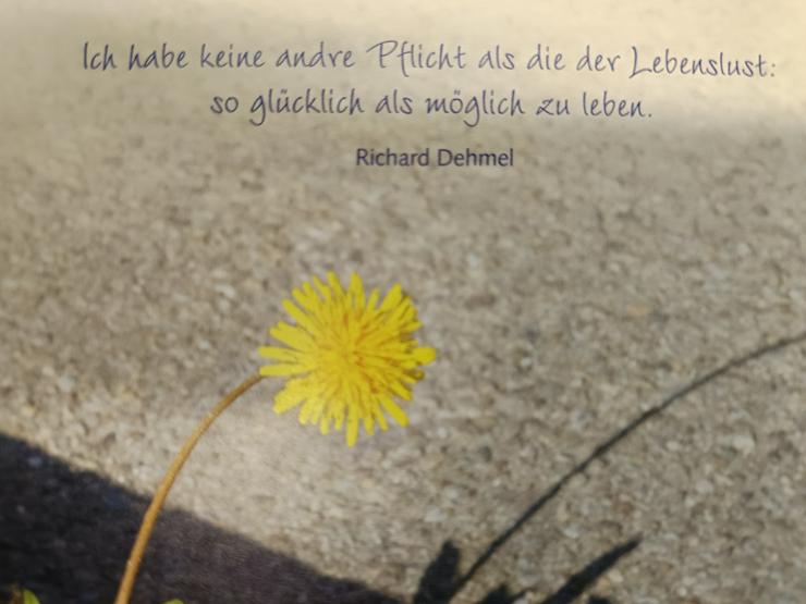 Suche Sie mit Sehnsüchten