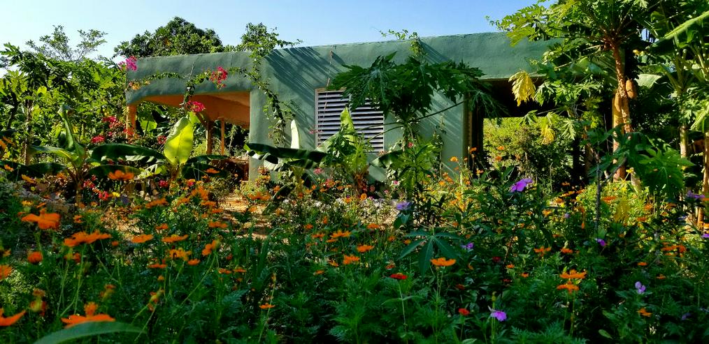 Verkaufe Tinyhouse mit Bananenplantage in der DomRep.