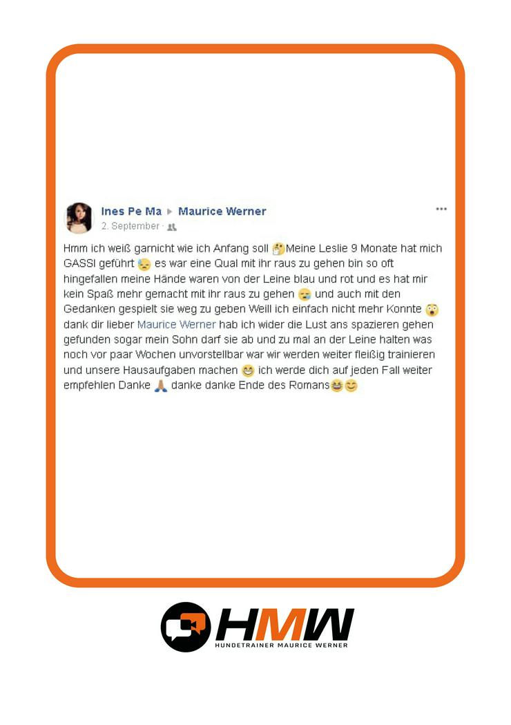 Bild 10: Innovatives Hundetraining durch Videoanalyse