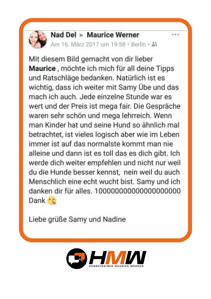 Bild 7: Innovatives Hundetraining durch Videoanalyse
