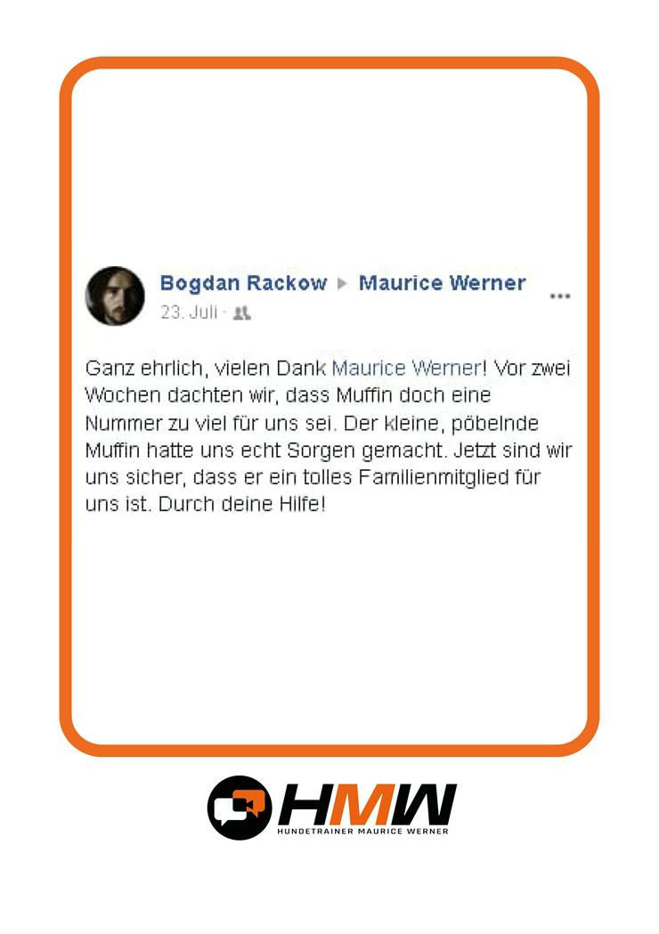 Bild 9: Innovatives Hundetraining durch Videoanalyse