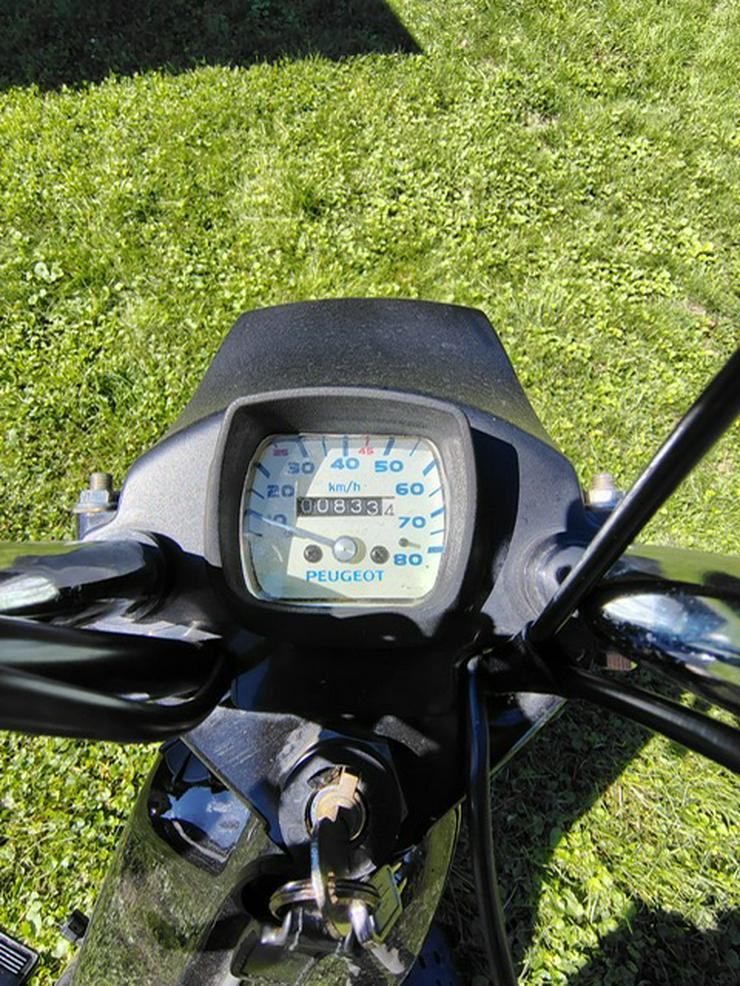 Moped & Motorroller