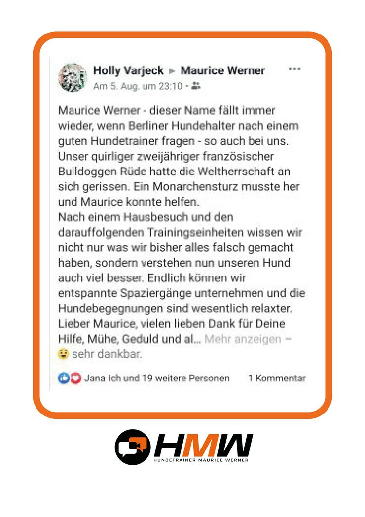Bild 6: Innovatives Hundetraining durch Videoanalyse