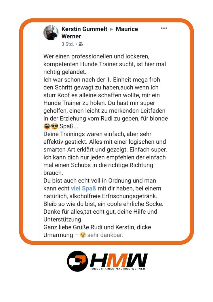 Bild 7: Innovatives Hundetraining durch Videoanalyse