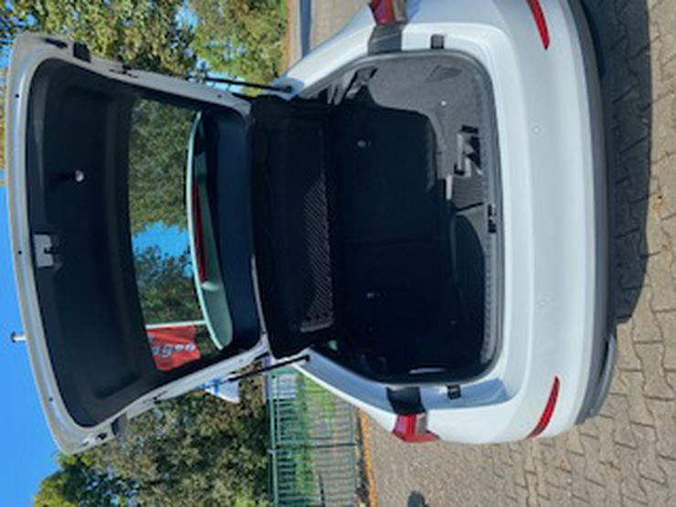 Bild 7: Scala 1,0 TSI Style