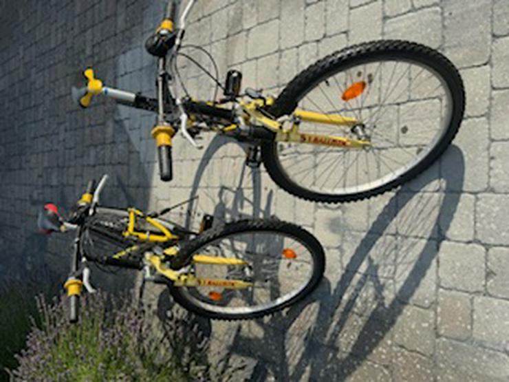Bild 3: 2 Mountainbikes zu verkaufen