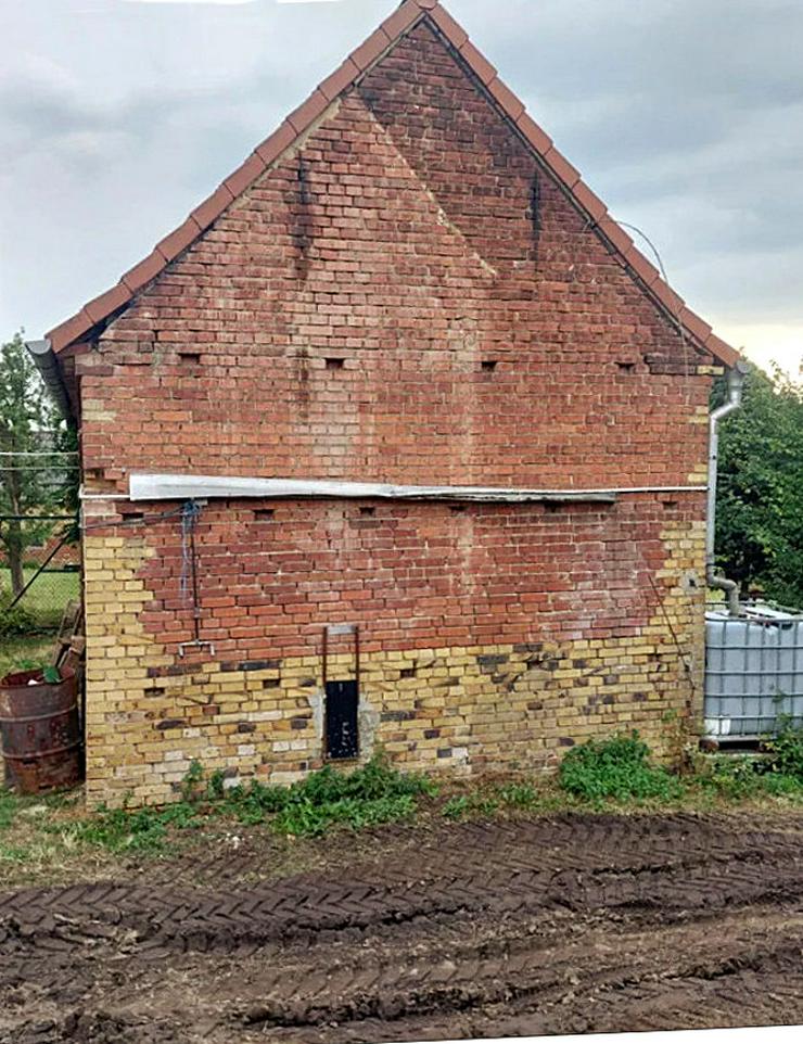Bild 6: wasserstrich Ziegel Backstein Klinker Reichsformat Garten Gestaltung Ruinen mauer historisch Baustoff 