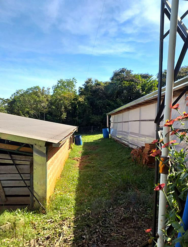 Bild 6: Haus mit großem Grundstück in Aguapety / Paraguay