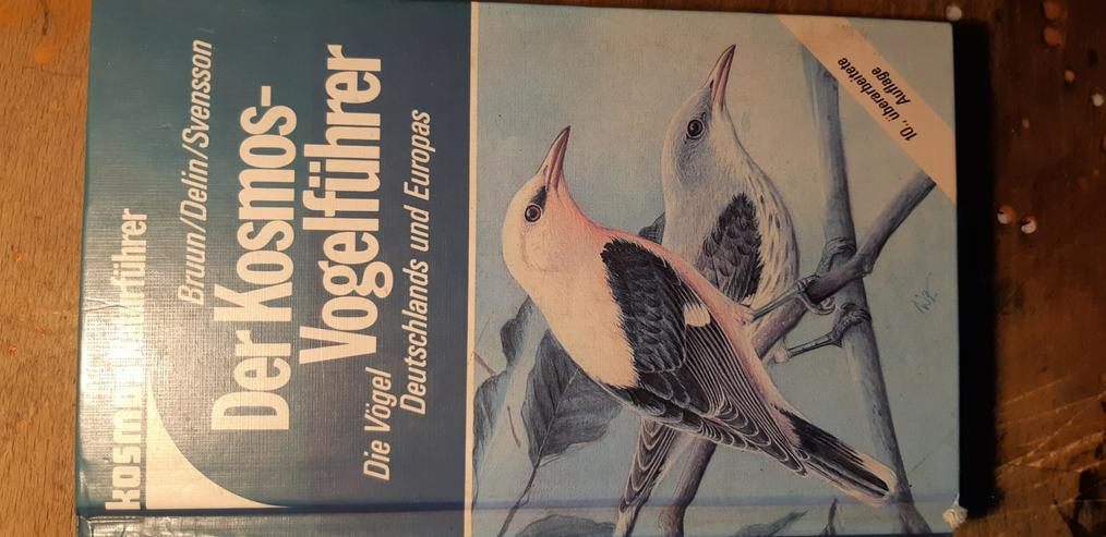 Kosmos Vogelführer Bruun Delin Svensson Deutsch Hardcover