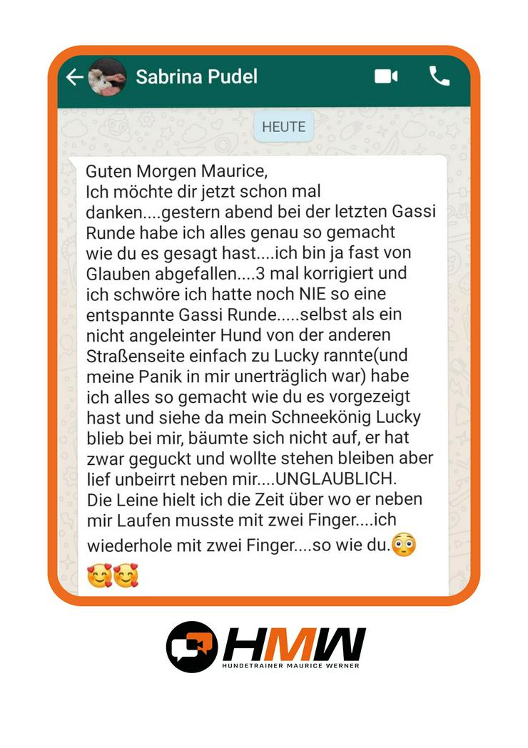 Bild 10: Innovatives Hundetraining durch Videoanalyse