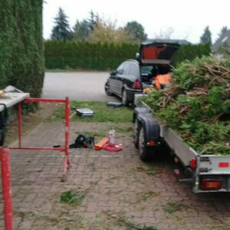 Hecke schneiden, Bäume beschneiden, Pflasterarbeiten, Gartenhelfer