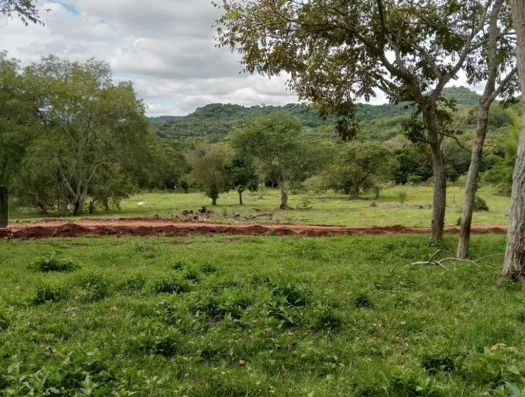 Bild 5: Haus mit sehr großem Grundstück im Bereich Jovera / Paraguay