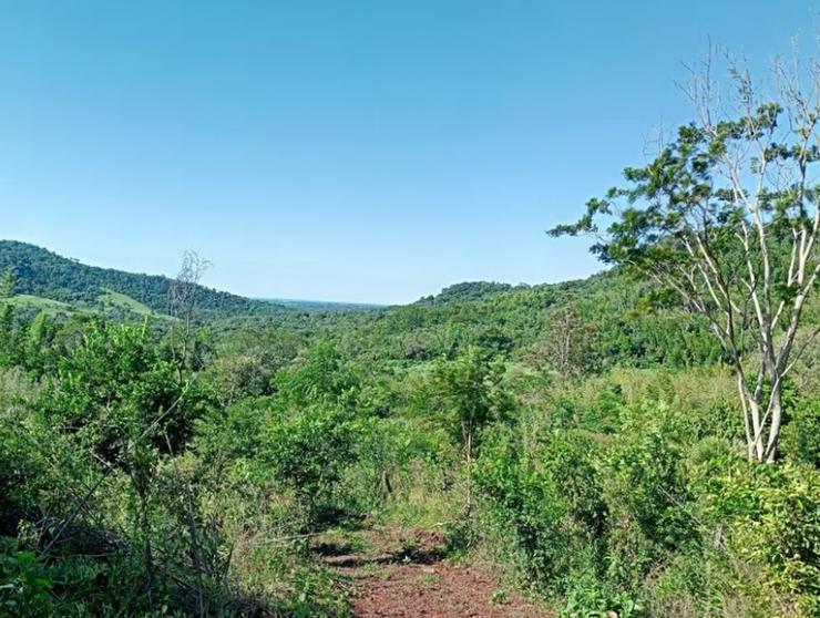 Bild 4: Haus mit sehr großem Grundstück im Bereich Jovera / Paraguay