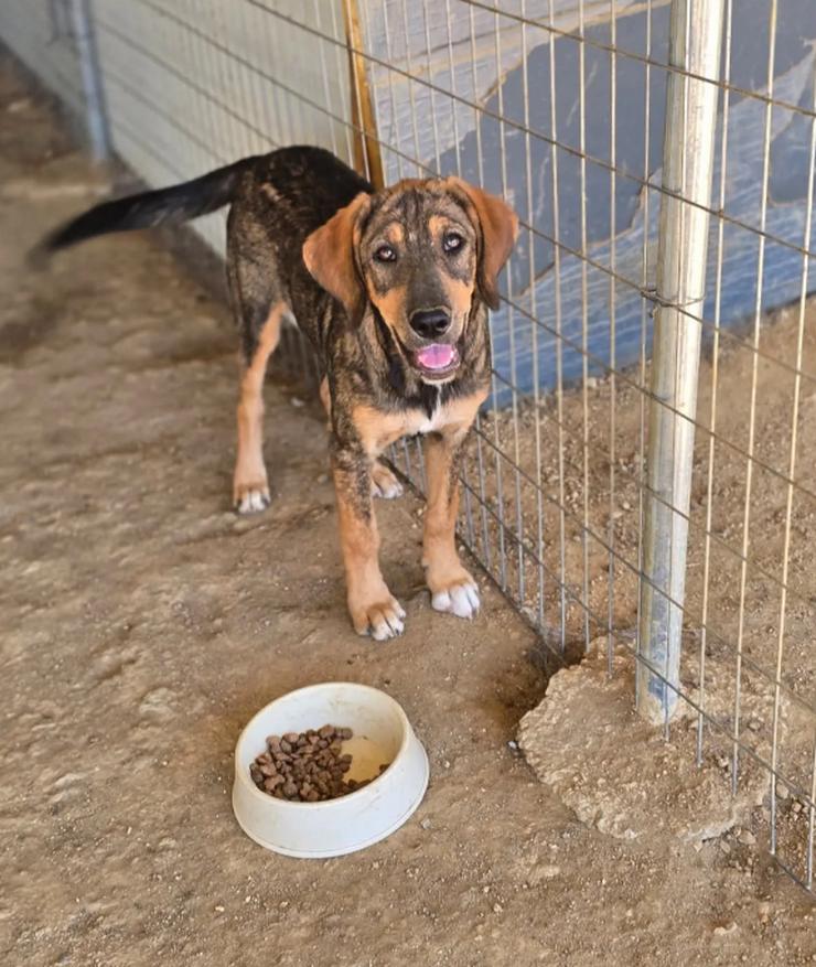 Bild 2: Auguste – sanft und voller Hoffnung