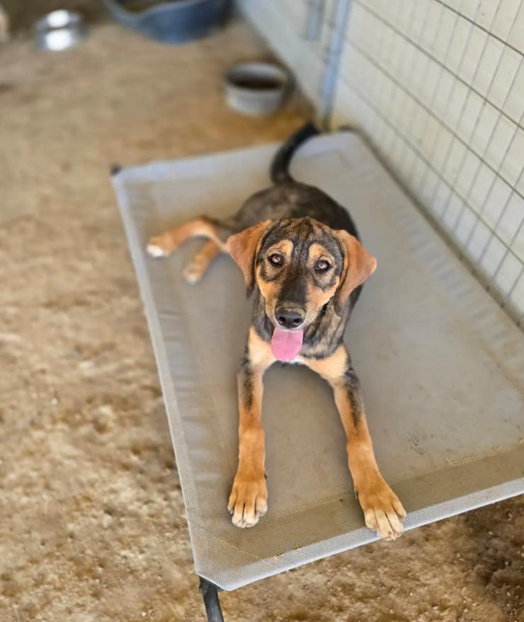 Bild 5: Auguste – sanft und voller Hoffnung