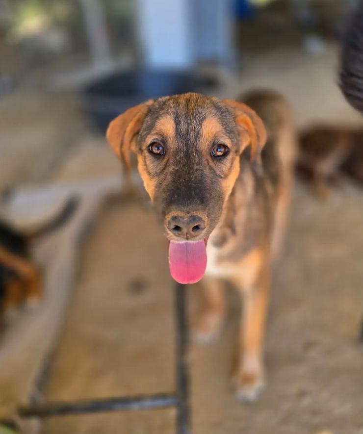 Bild 6: Auguste – sanft und voller Hoffnung