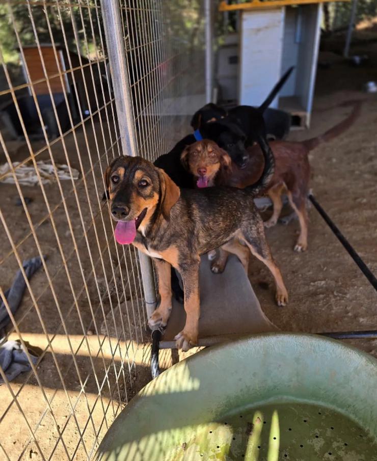 Bild 3: Auguste – sanft und voller Hoffnung