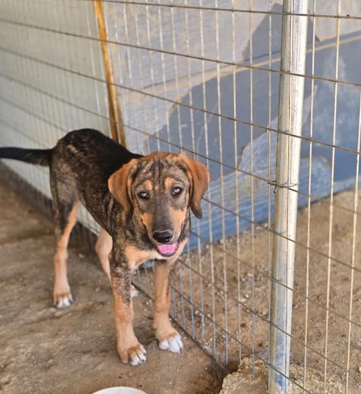 Bild 4: Auguste – sanft und voller Hoffnung