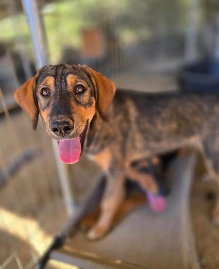 Auguste – sanft und voller Hoffnung